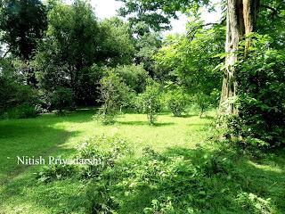 Climate which changed the world 56 million years ago. Climate which changed the world 56 million years ago.