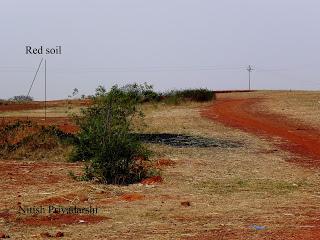 Soil colour has been inferred as an indicator of past climate.