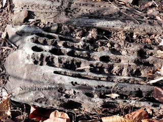 Beautiful Weathering structure on the rocks around Ranchi city, India.