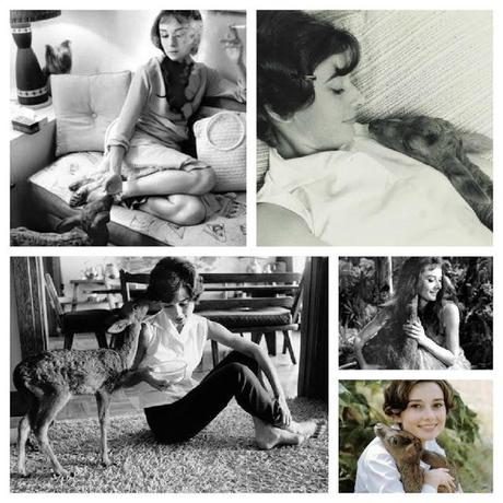 My Favourite Audrey Hepburn Books