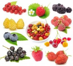 Health Benefits Of Super Foods 300x275 Health Benefits Of Super Foods