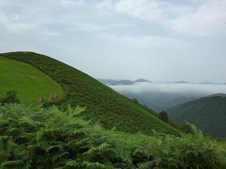 193. A walk on the wild side of the Pays Basque