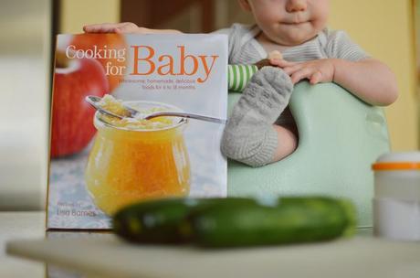 adventures in baby food making.