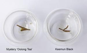 Taking a Closer Look at what is an Oolong Tea and what is not