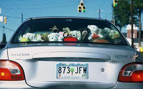 Beanie Babies On My Dash