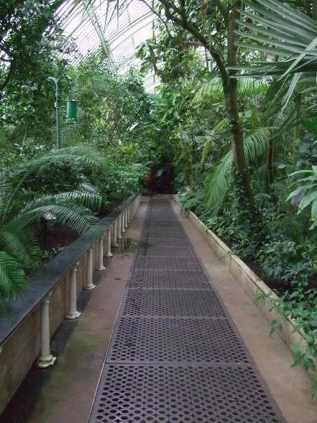 Kew, A Wander Through the Palm House