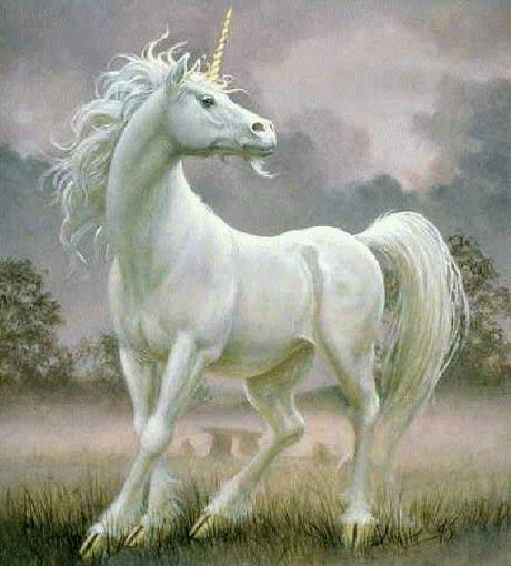 Does the Bible Teach That Unicorns Exist?
