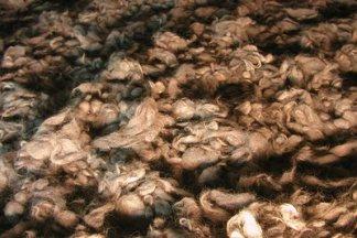 Human hair at Auschwitz I, Oswiecim, Poland