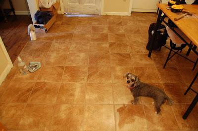 Kitchen and Bathroom Floors!