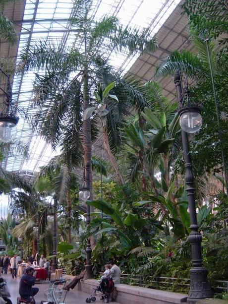 Atocha Railway Station - Palms