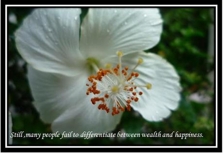 Between wealth and happiness