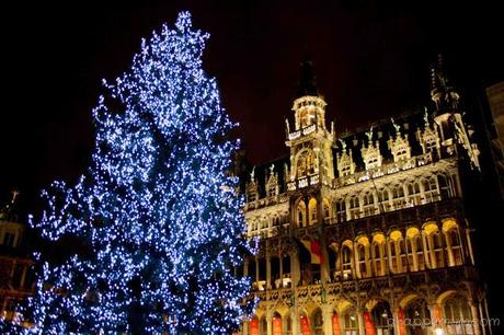 Brussels - Belgium chocs and family bliss