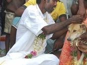 Indian Farm Laborer Marries Stray DOG!