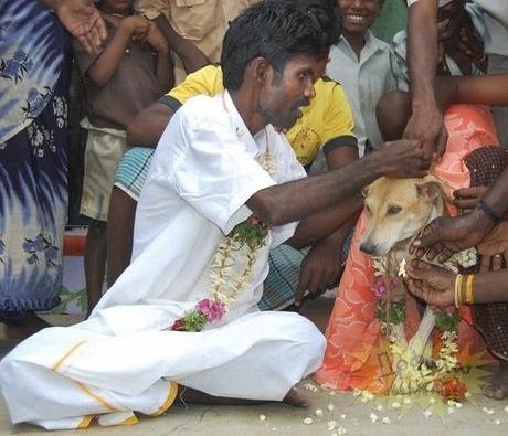 Indian Farm Laborer Marries Stray DOG!