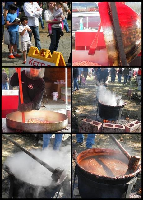 Apple Harvest festival - collage4