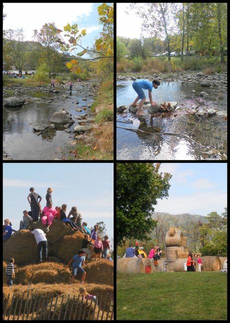 Apple Harvest festival - collage2