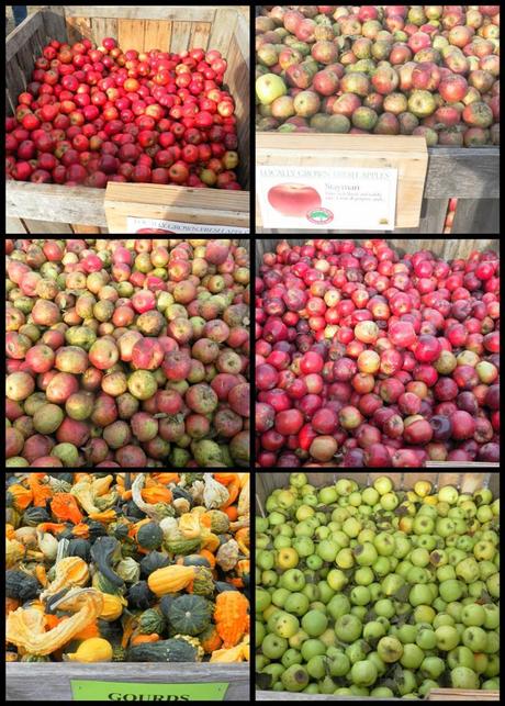 Apple Harvest festival - collage3