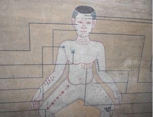 How sustainable is the Narayana Hrudayalaya model for healthcare ?