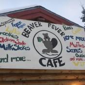 Beaver Fever Cafe Tok Alaska