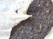 What Puer Pu-erh? Brief Overview