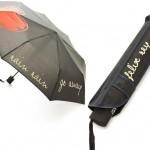 Christmas Gift 2012: Rain Rain Go Away Folding Umbrella