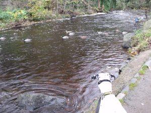 An Autumnal Edinburgh Weekend