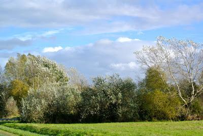 fall break in bretagne, part 3