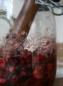 how to make cranberry vodka