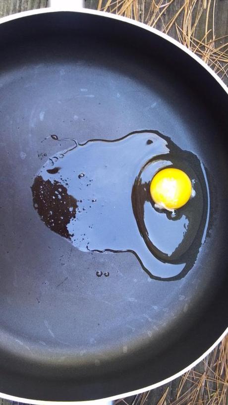 Lesson 651 – Comparing a store bought egg to a free range egg – Part 2