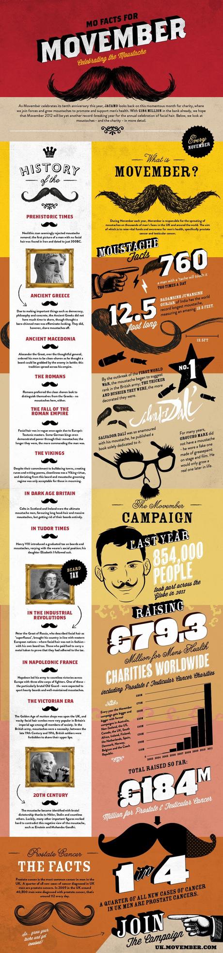 Facts About Movember Infographic