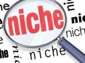 Build Website Niche Market