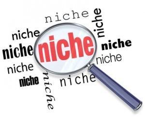 niche websites