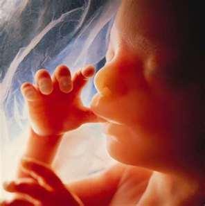 Some good news for unborn babies