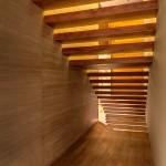 Apartament P1 / MAP/MX