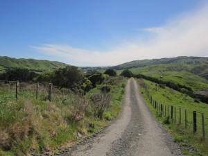 [Photo Blog] Wairaka Walkway