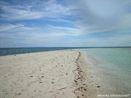 Cala-Kalanggaman Island Hullabaloo