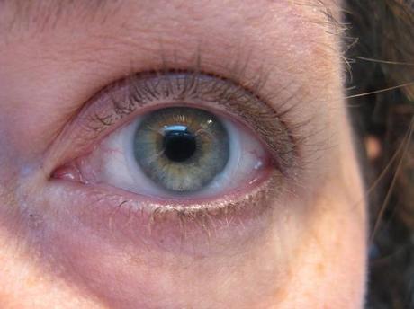 005 chic ~~ the “change my world” compact