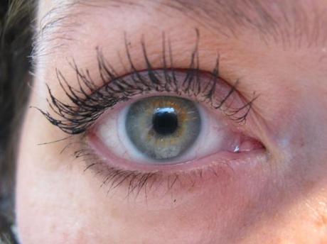 004 chic ~~ the “change my world” compact