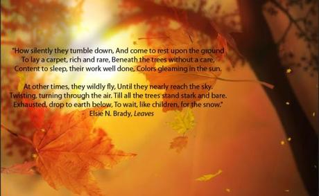 #quoteoftheday Poetry about leaves