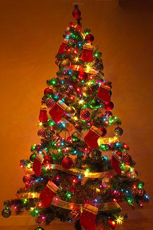 English: A Christmas Tree at Home