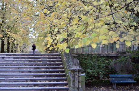 Autumn Leaves in Coimbra