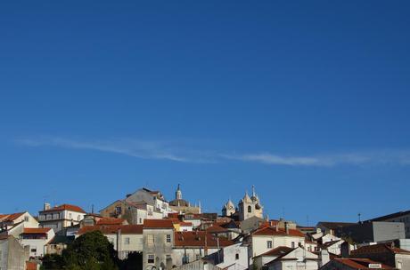 Autumn Leaves in Coimbra