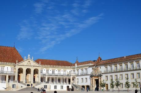 Autumn Leaves in Coimbra