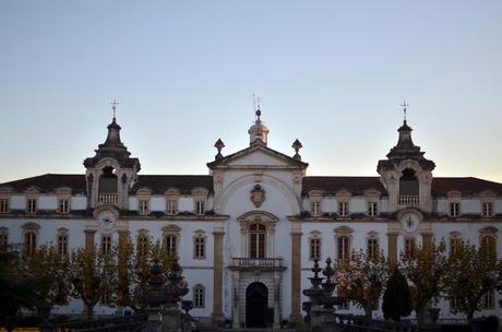 Autumn Leaves in Coimbra