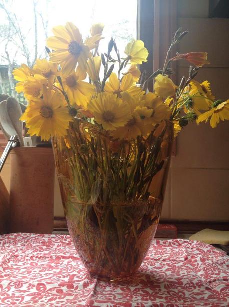 Flowers looking happy in the kitchen