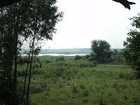 64) Mavathur lake, Nelligudde kere, Manchinbele dam: (28/10/2012)