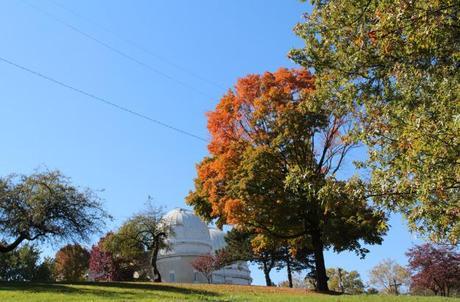 Fall Foliage Observatory Hill & Observations