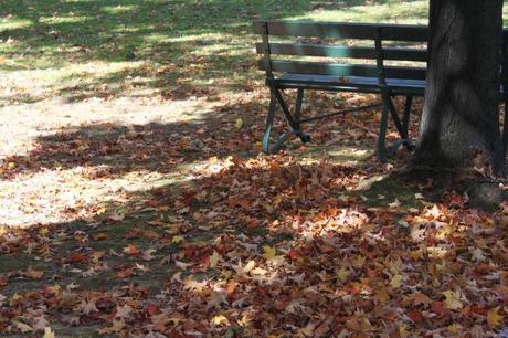 Quiet Spot Observatory Hill & Observations