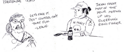 Focus Groups