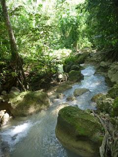 Fresh Water at Canlaob